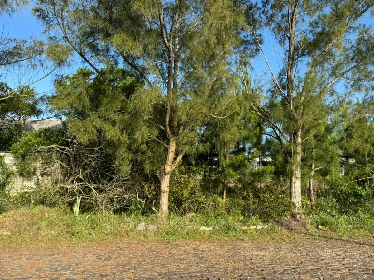 LOTE 000 - Um terreno na PRAIA DE ATLÂNTIDA SUL, localizado na Rua do Farol, Osório/RS, constituído do lote  7, da quadra 129