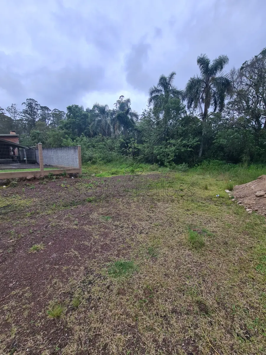LOTE 000 - Leilão de um terreno Urbano na cidade de Maquiné/RS