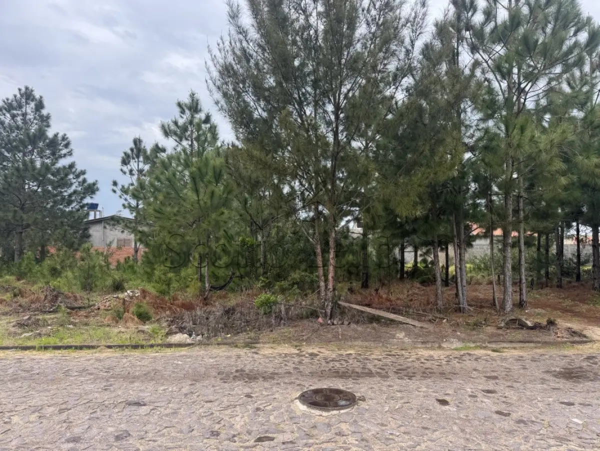 LOTE 000 - LEILÃO DE UM TERRENO NA PRAIA DE ATLÂNTIDA SUL/OSÓRIO-RS, SITUADO NA RUA DOS BUZIUS, CONSTITUÍDO DO LOTE 08 DA QUADRA 220