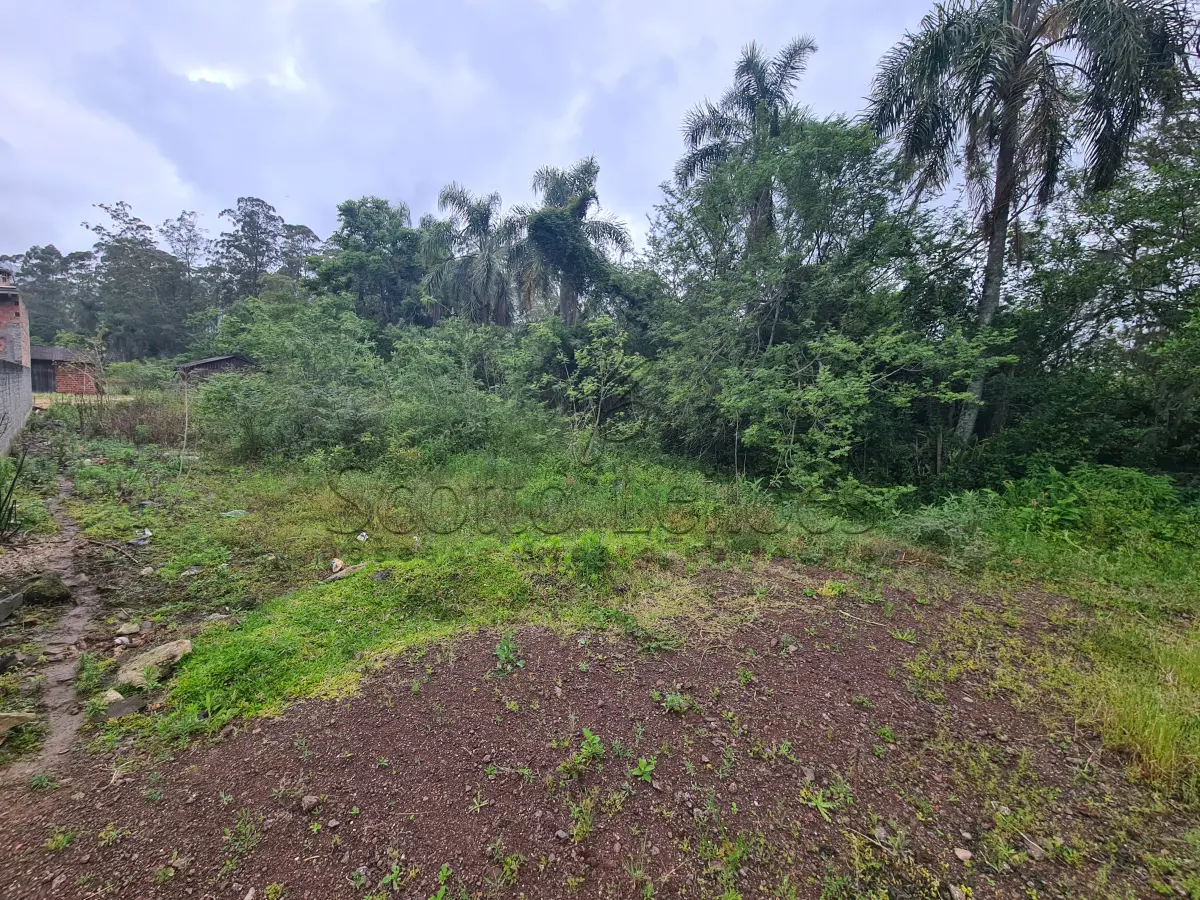 LOTE 000 - Leilão de um terreno Urbano na cidade de Maquiné/RS