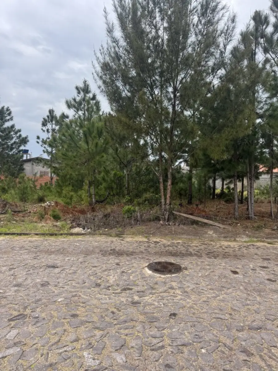 LOTE 000 - LEILÃO DE UM TERRENO NA PRAIA DE ATLÂNTIDA SUL/OSÓRIO-RS, SITUADO NA RUA DOS BUZIUS, CONSTITUÍDO DO LOTE 08 DA QUADRA 220