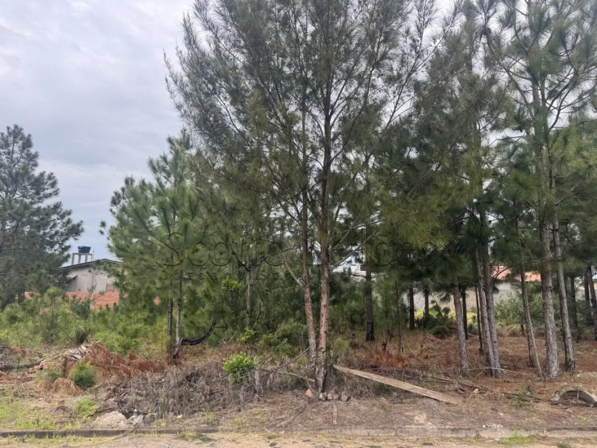 LOTE 000 - LEILÃO DE UM TERRENO NA PRAIA DE ATLÂNTIDA SUL/OSÓRIO-RS, SITUADO NA RUA DOS BUZIUS, CONSTITUÍDO DO LOTE 08 DA QUADRA 220