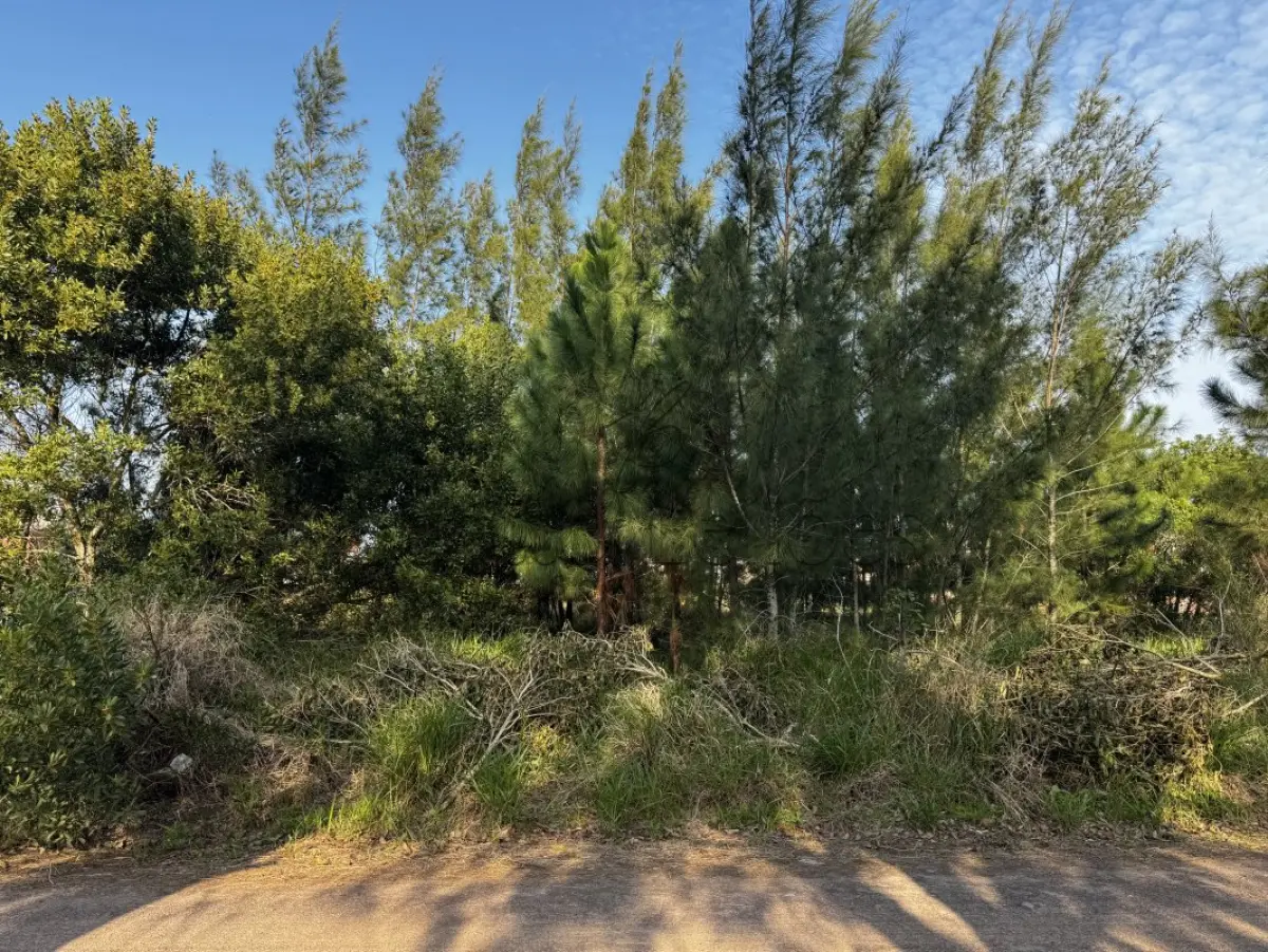LOTE 000 - LEILÃO JUDICIAL DE UM TERRENO SITUADO NA RUA DAS ENSEADAS NA PRAIA DE ATLÂNTIDA SUL - OSÓRIO/RS, CONSTITUÍDO DO LOTE 28-A DA QUADRA 115.
