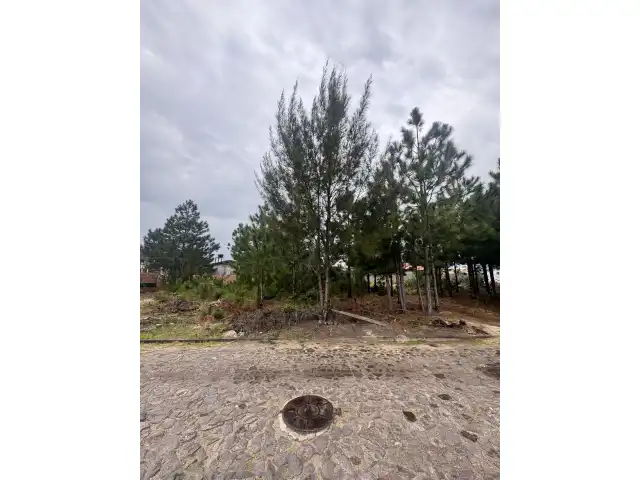 LEILÃO DE UM TERRENO NA PRAIA DE ATLÂNTIDA SUL/OSÓRIO-RS, SITUADO NA RUA DOS BUZIUS, CONSTITUÍDO DO LOTE 08 DA QUADRA 220