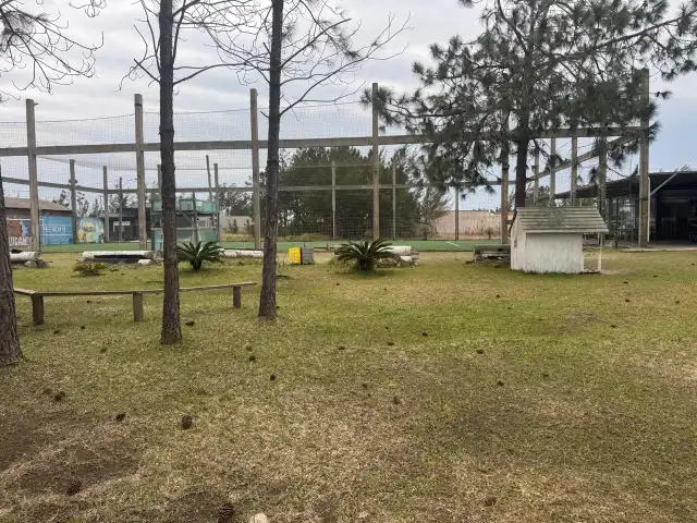 LEILÃO NA PRAIA DE ATLÂNTIDA SUL/OSÓRIO-RS DE UM TERRENO  SITUADO NA RUA CANASVIEIRAS, LOTE 08, DA QUADRA 147