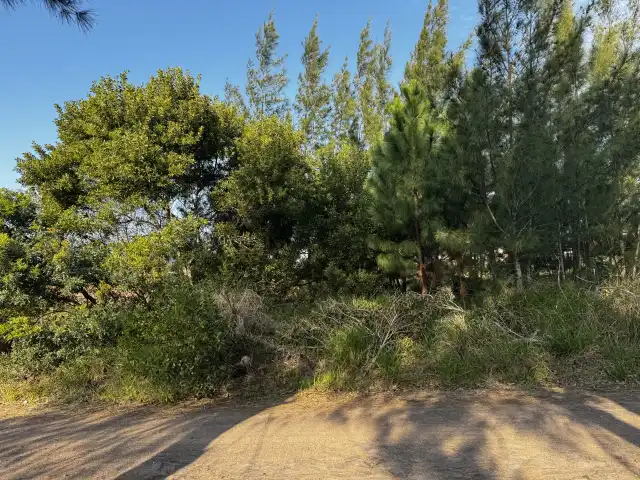 LEILÃO JUDICIAL DE UM TERRENO SITUADO NA RUA DAS ENSEADAS NA PRAIA DE ATLÂNTIDA SUL - OSÓRIO/RS, CONSTITUÍDO DO LOTE 28-A DA QUADRA 115.