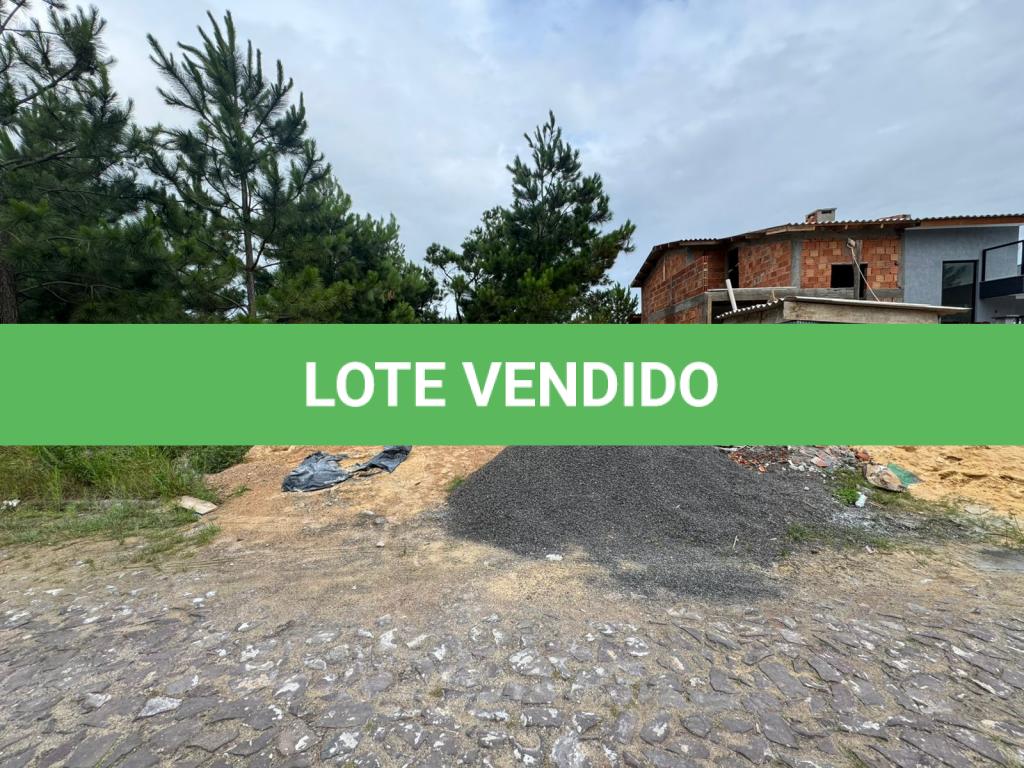 LOTE 000