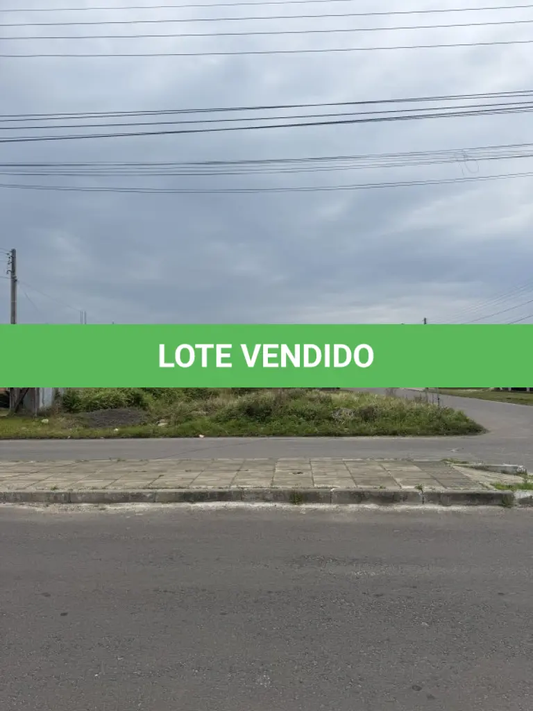 LOTE 000