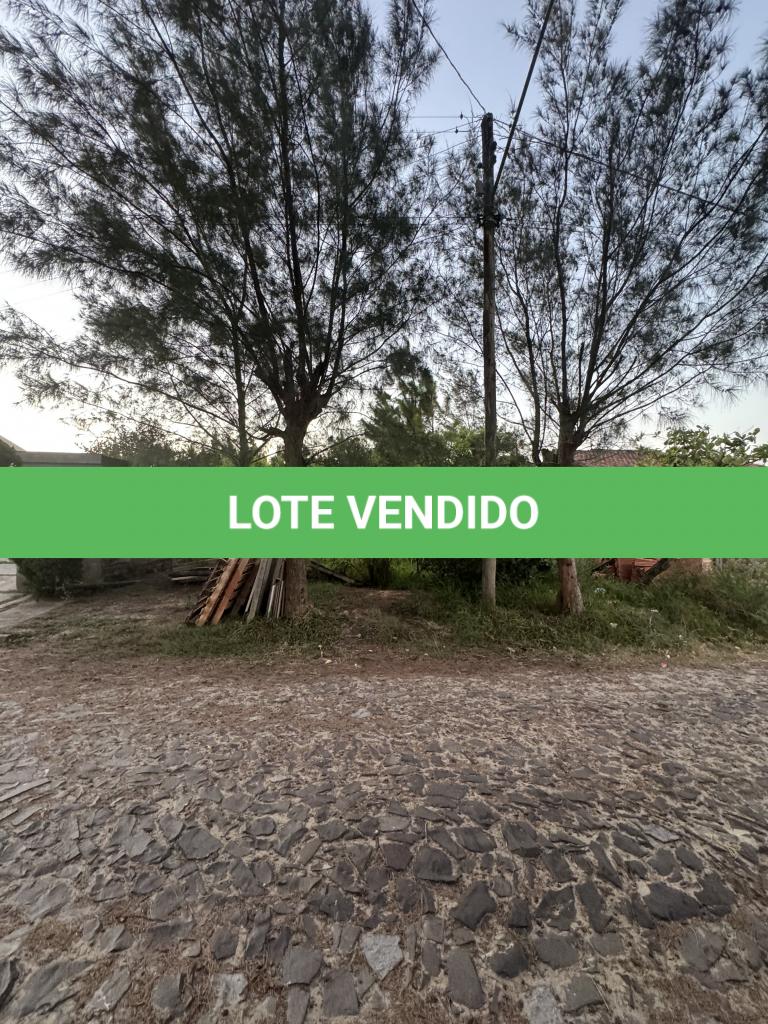 LOTE 000