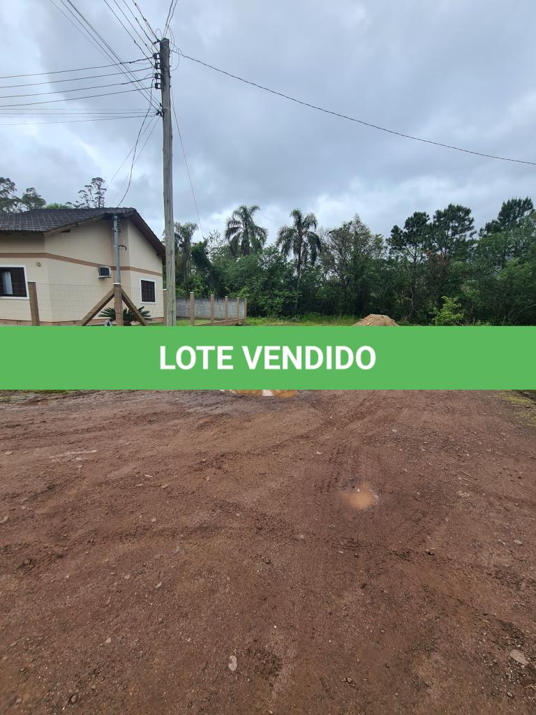 LOTE 000