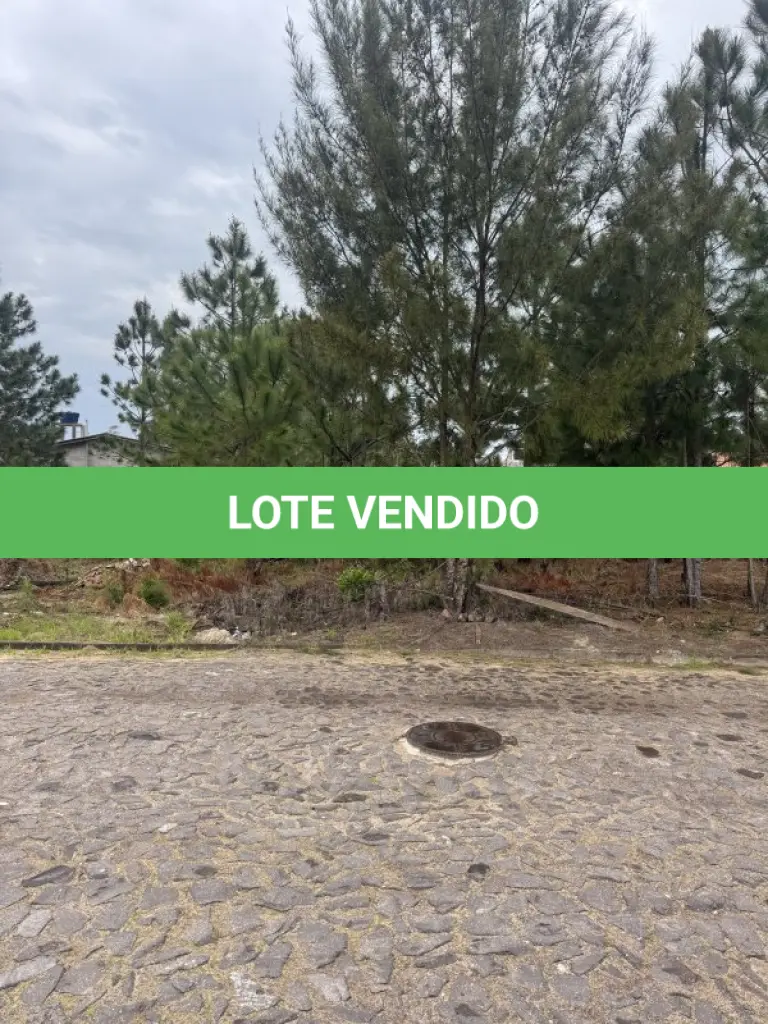 LOTE 000