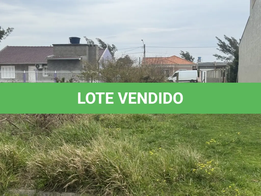 LOTE 000
