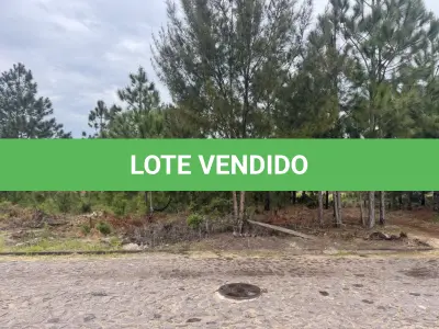LOTE 000 - LEILÃO DE UM TERRENO NA PRAIA DE ATLÂNTIDA SUL/OSÓRIO-RS, SITUADO NA RUA DOS BUZIUS, CONSTITUÍDO DO LOTE 08 DA QUADRA 220