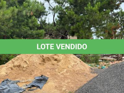 LOTE 000 - UM TERRENO COM ÁREA DE 300 M², SITUADO NA PRAIA DE ATLÂNTIDA SUL, LOCALIZADO NA RUA  DOS BUZIUS-OSÓRIO/RS, CONSTITUÍDO DO LOTE 04 DA QUADRA 220