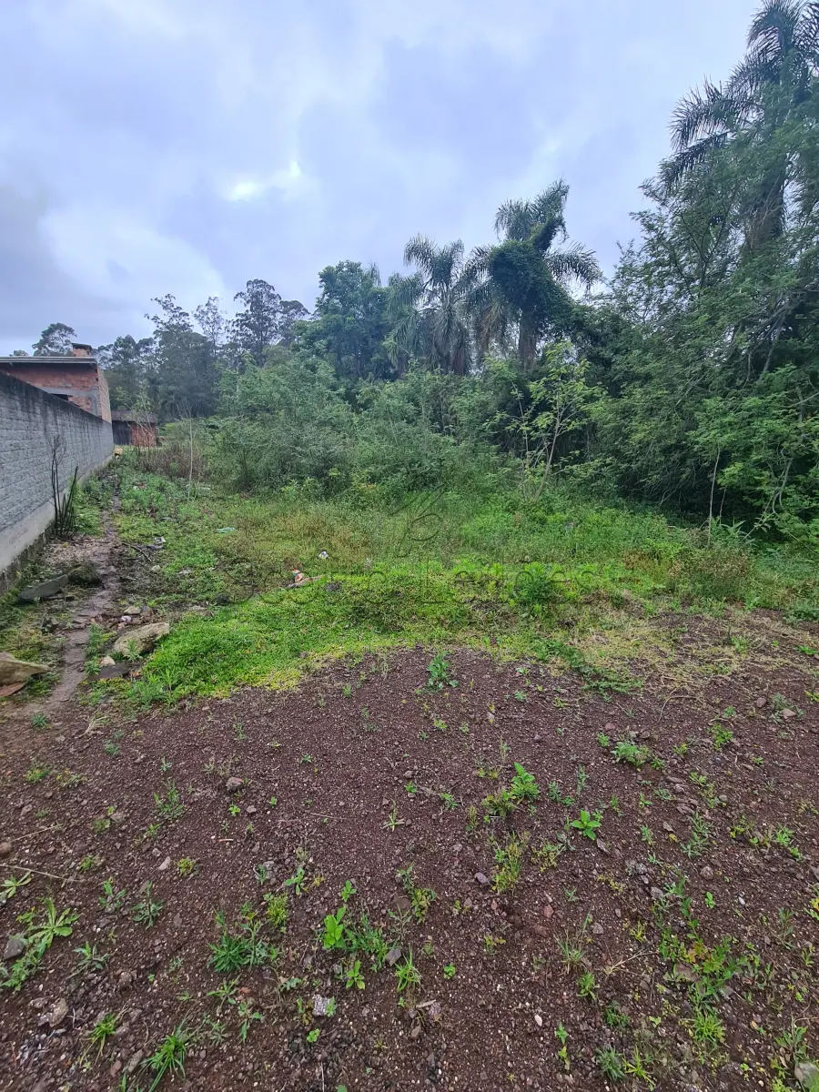 LOTE 000 - Leilão de um terreno Urbano na cidade de Maquiné/RS