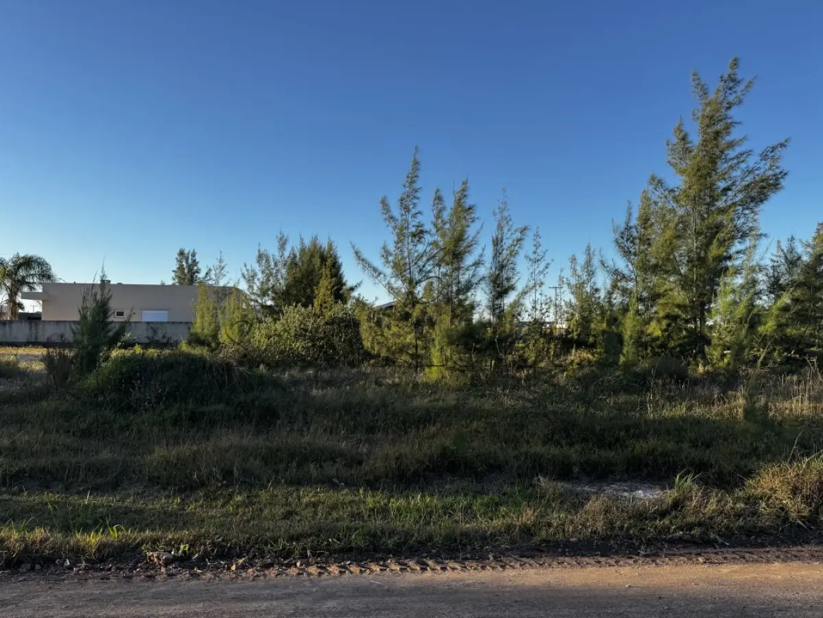 LOTE 000 - LEILÃO JUDICIAL DE UM TERRENO SITUADO NA PRAIA DE ATLÂNTIDA SUL- OSÓRIO-RS, CONSTITUÍDO DO LOTE 29 DA QUADRA 184