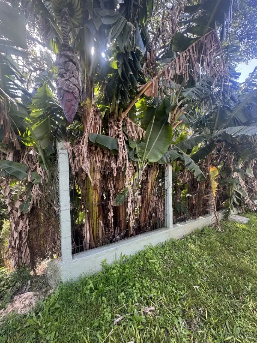 LOTE 000 - LEILÃO DE UM TERRENO EM PORTO ALEGRE/RS, BAIRRO NONOAI, ÁREA PRIVATIVA DE 546 M², RUA ALCEBÍADES ANTÔNIO DOS SANTOS, 279