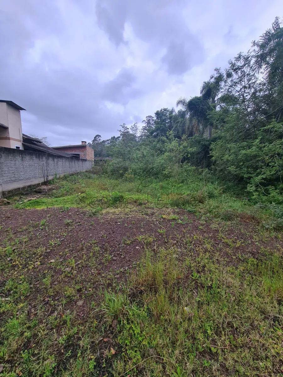 LOTE 000 - Leilão de um terreno Urbano na cidade de Maquiné/RS