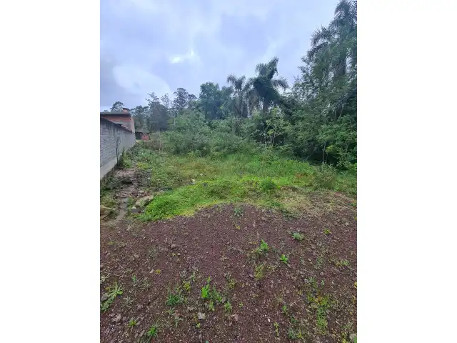 Leilão de um terreno urbano situado na cidade de Maquiné/RS, Registrado no Registro de Imóveis de Osório, Livro 2, Matrícula 100.603.