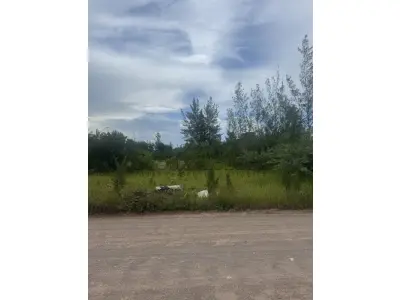 LOTE 000 - LEILÃO DE UM TERRENO NA PRAIA DE ATLÂNTIDA SUL-OSÓRIO /RS, SITUADO NA RUA  LUIS FRANCISCO PIMENTEL, LOTE 30 DA QUADRA 187