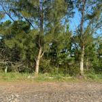 LOTE 000 - Um terreno na PRAIA DE ATLÂNTIDA SUL, localizado na Rua do Farol, Osório/RS, constituído do lote  7, da quadra 129