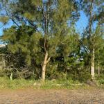 LOTE 000 - Um terreno na PRAIA DE ATLÂNTIDA SUL, localizado na Rua do Farol, Osório/RS, constituído do lote  7, da quadra 129