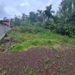 LOTE 000 - Leilão de um terreno Urbano na cidade de Maquiné/RS