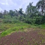 LOTE 000 - Leilão de um terreno Urbano na cidade de Maquiné/RS