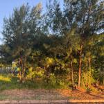 LOTE 000 - UM TERRENO NA PRAIA DE ATLÃNTIDA SUL /OSÓRIO-RS LOCALIZADO NA AV. PARAGUASSÚ