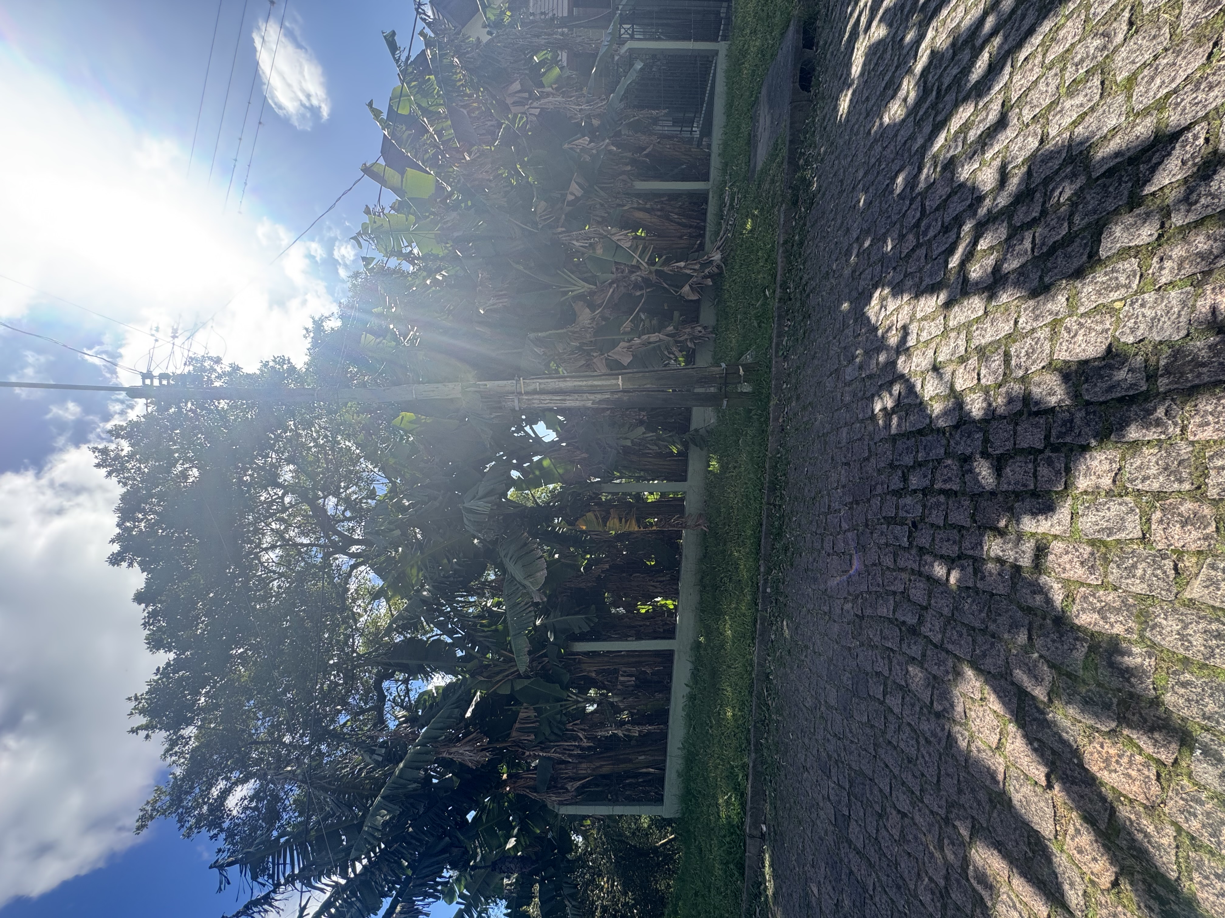 LEILÃO DE UM TERRENO EM PORTO ALEGRE/RS, BAIRRO NONOAI, ÁREA PRIVATIVA DE 546 M², RUA ALCEBÍADES ANTÔNIO DOS SANTOS, 279