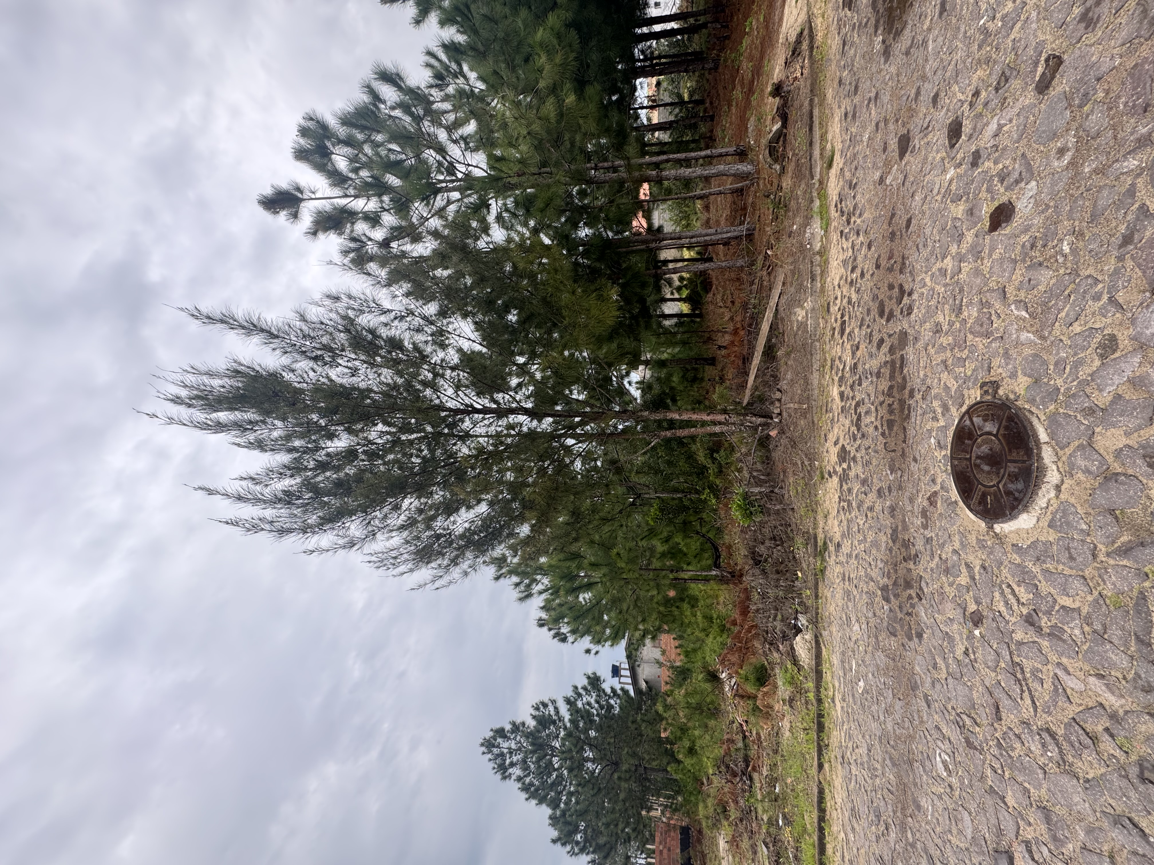 LEILÃO DE UM TERRENO NA PRAIA DE ATLÂNTIDA SUL/OSÓRIO-RS, SITUADO NA RUA DOS BUZIUS, CONSTITUÍDO DO LOTE 08 DA QUADRA 220