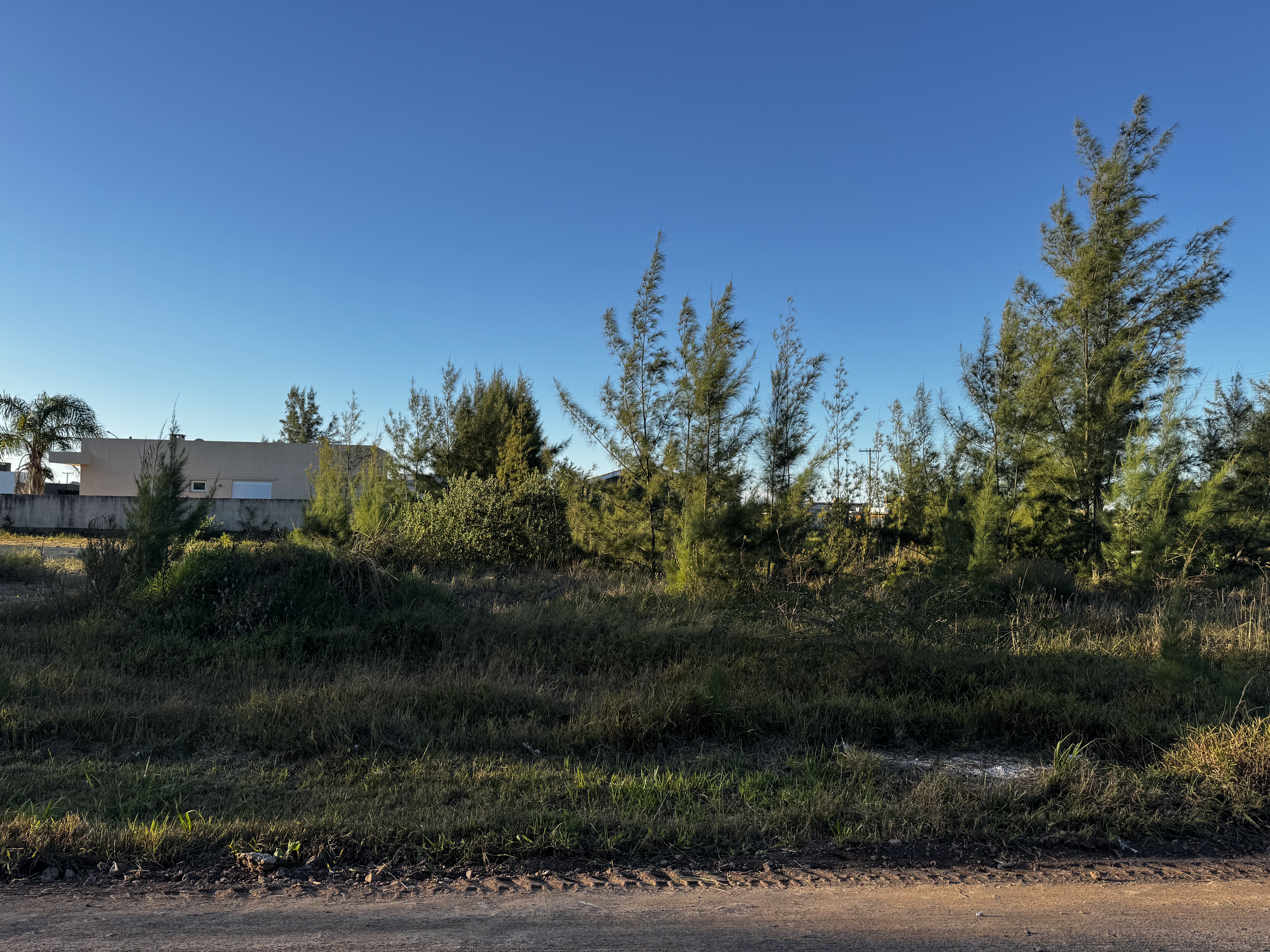LEILÃO JUDICIAL DE UM TERRENO SITUADO NA PRAIA DE ATLÂNTIDA SUL- OSÓRIO-RS, CONSTITUÍDO DO LOTE 29 DA QUADRA 184