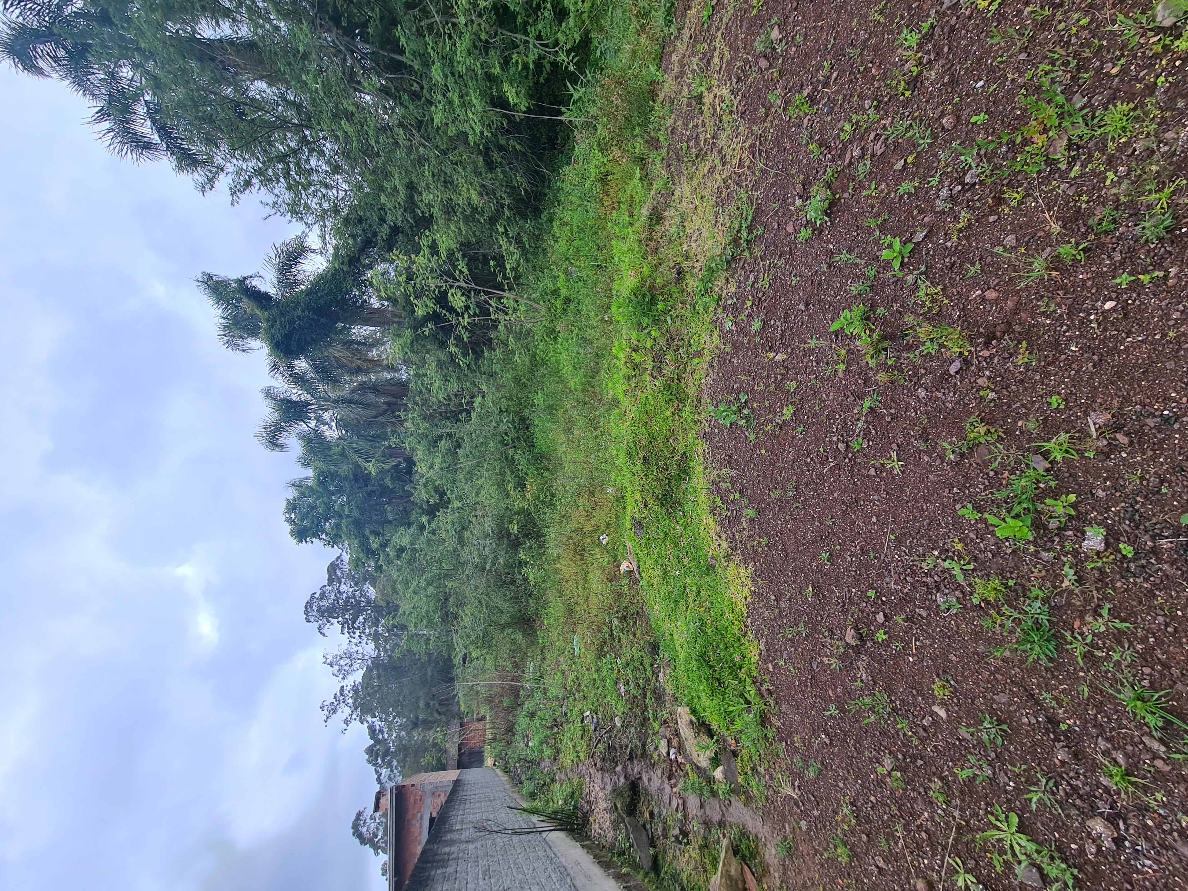 Leilão de um terreno urbano situado na cidade de Maquiné/RS, Registrado no Registro de Imóveis de Osório, Livro 2, Matrícula 100.603.