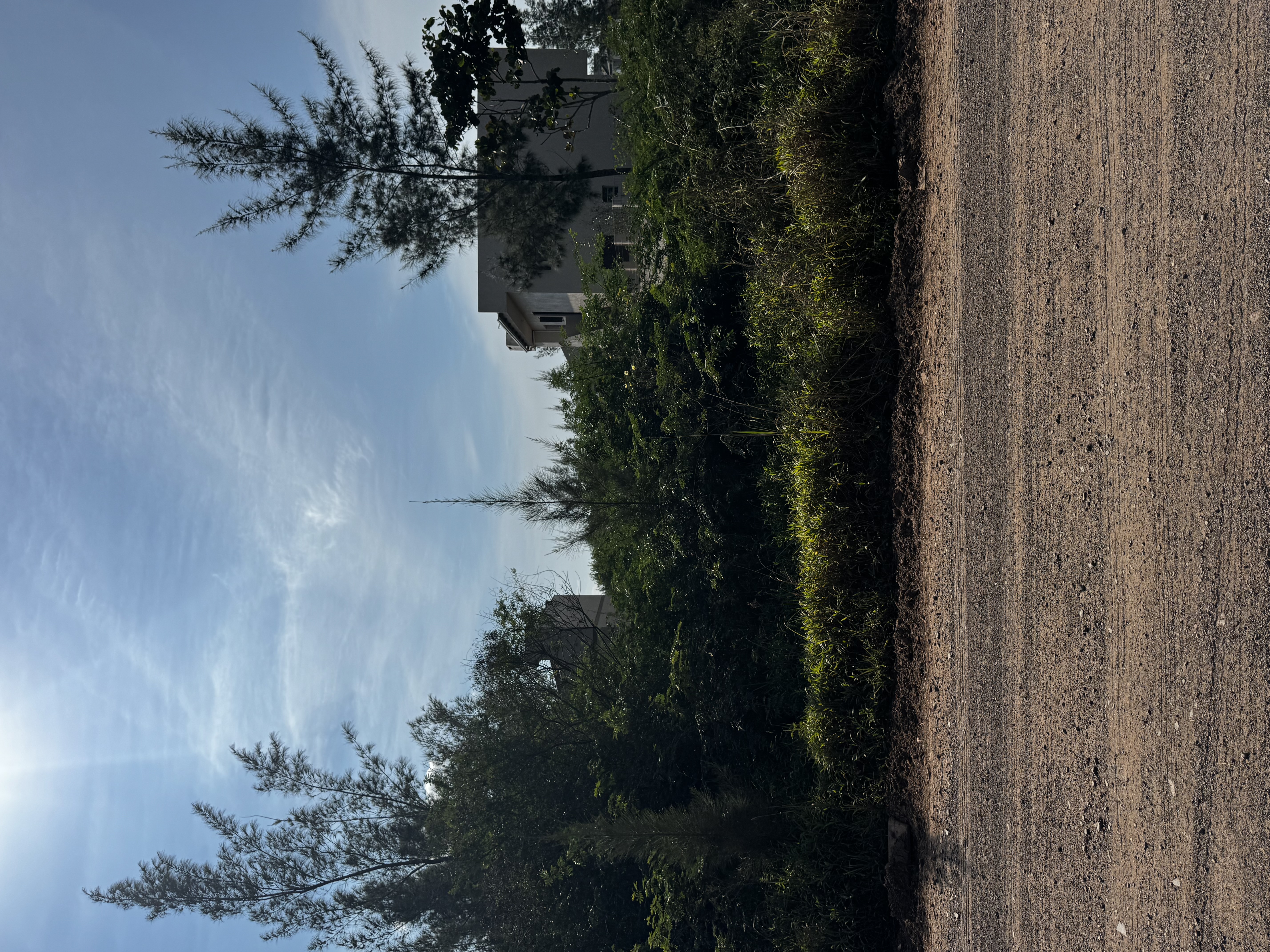 LEILÃO JUDICAL DE UM TERRENO NA PRAIA DE ATLÂNTIDA SUL /OSÓRIO-RS, SITUADO NA RUA LUÍS FRANCISCO PIMENTEL, CONSTITUÍDO DO LOTE 29 DA QUADRA 187
