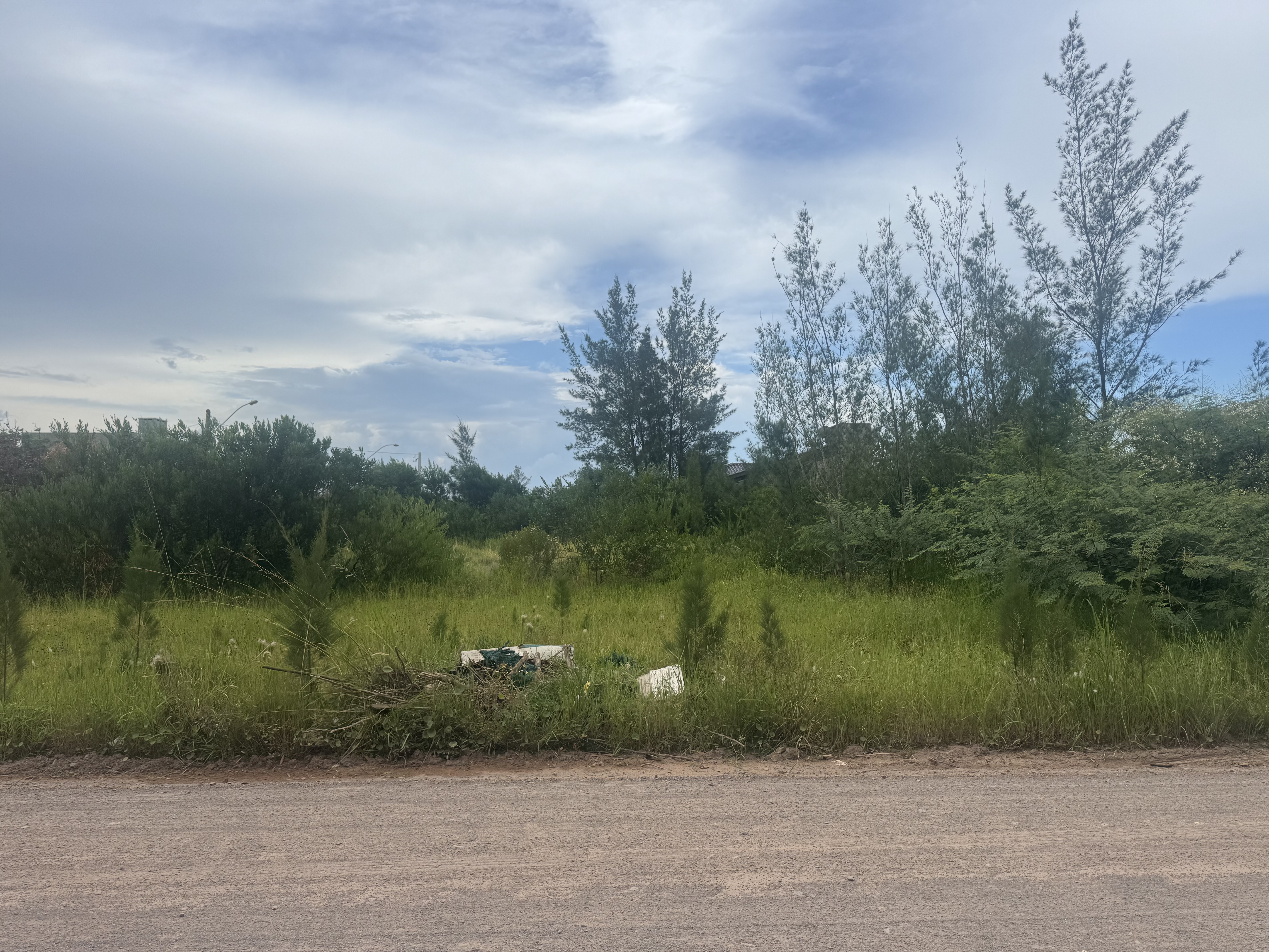 LEILÃO DE UM TERRENO NA PRAIA DE ATLÂNTIDA SUL-OSÓRIO /RS, SITUADO NA RUA  LUIS FRANCISCO PIMENTEL, LOTE 30 DA QUADRA 187